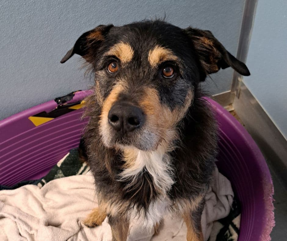 Pablo and Arley need safety these holidays