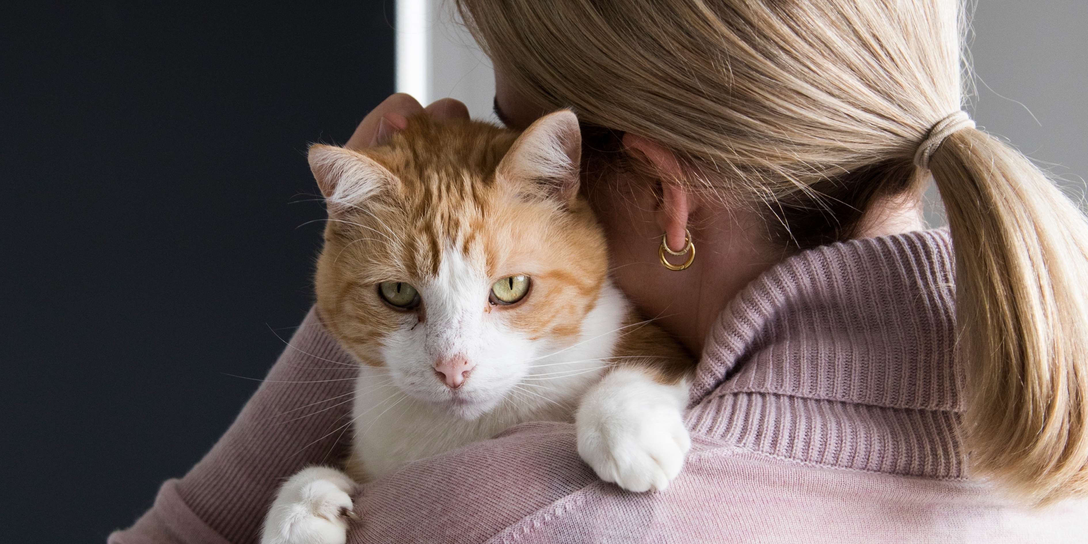 Nylah and Smokey the cats with Eleanor